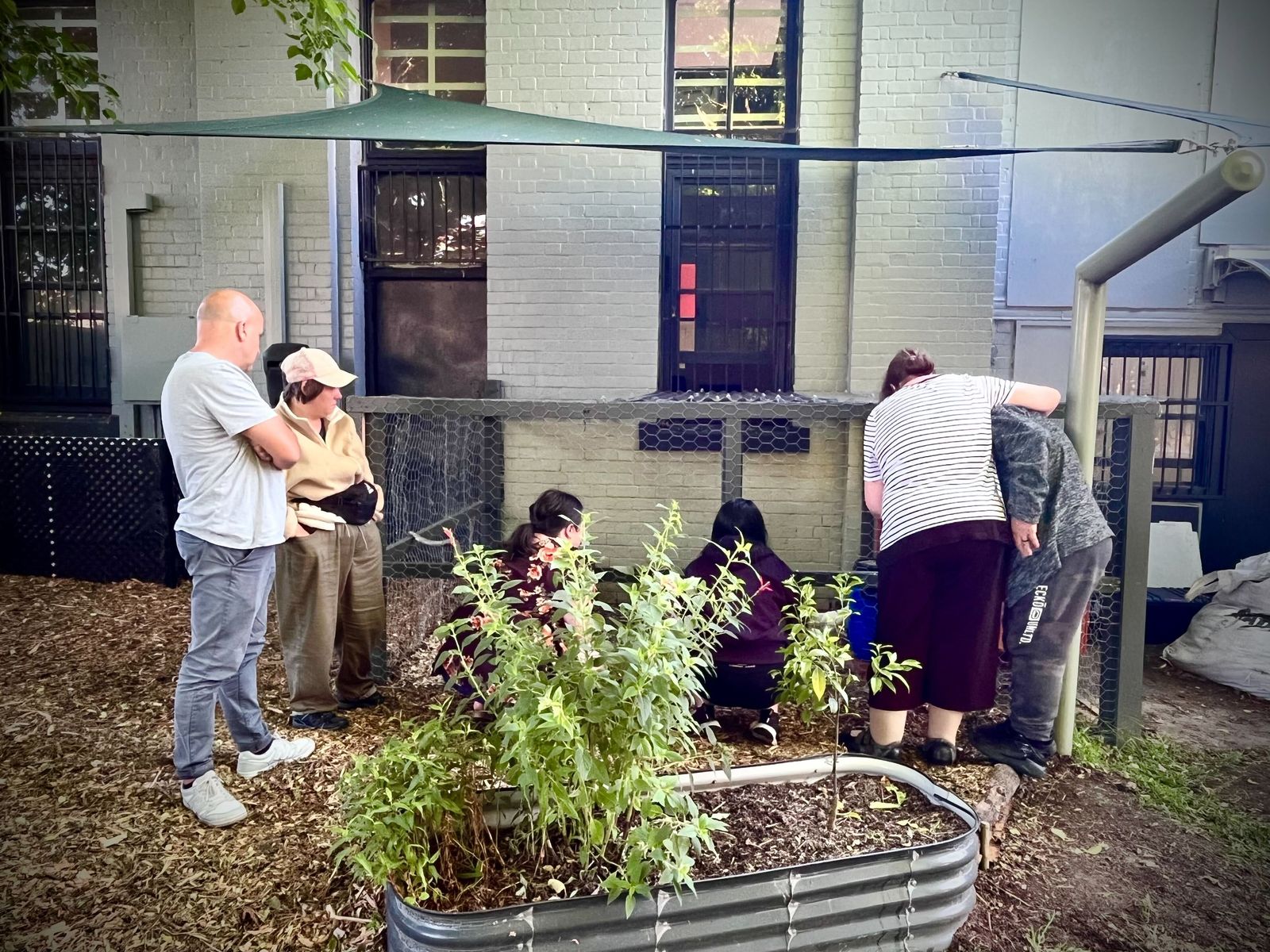 A small group tending raised garden beds in the courtyard behind the Rozelle centre