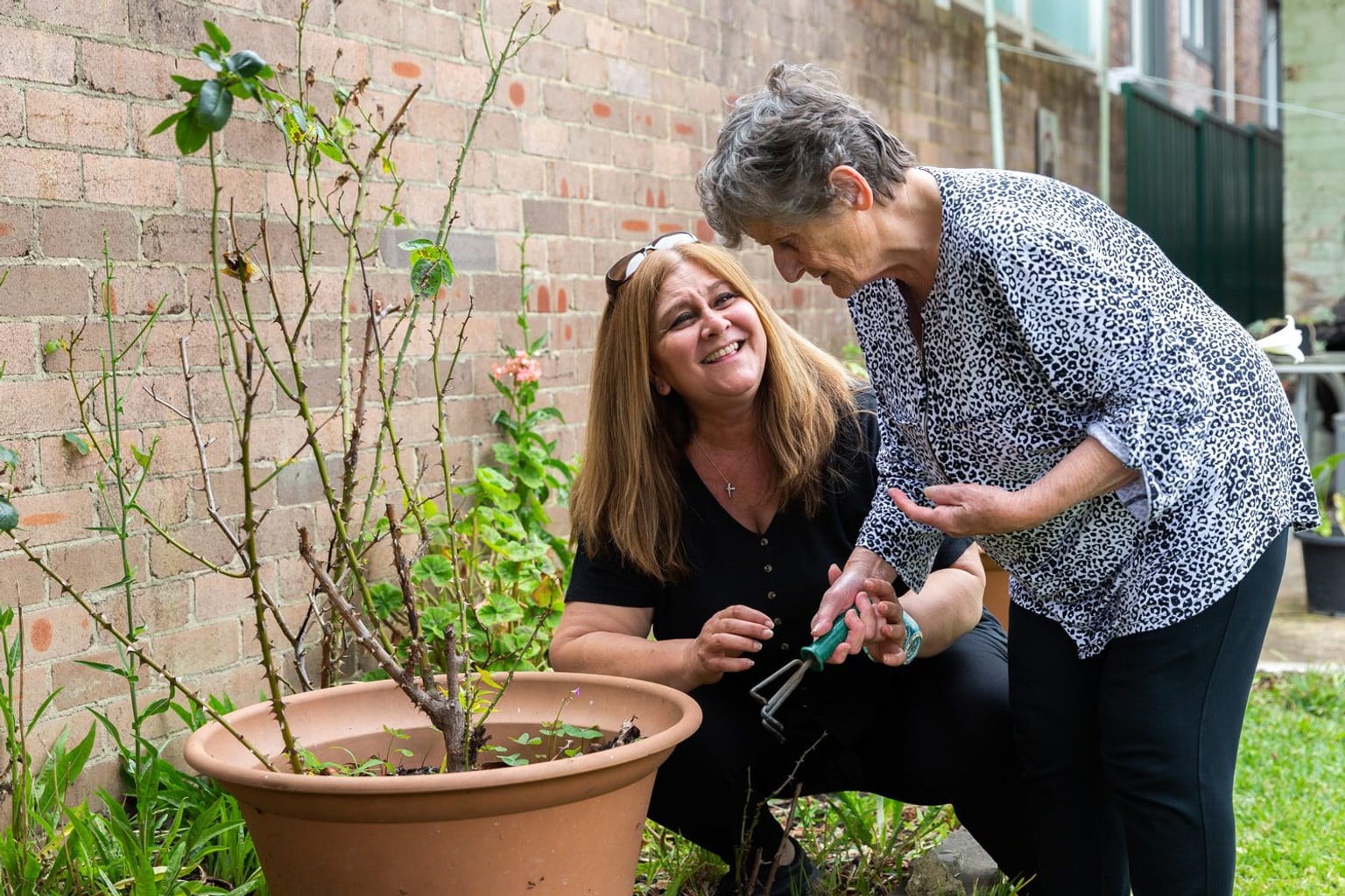 A together² worker crouched beside an older woman in her back garden, both laughing as they tend a potted rose